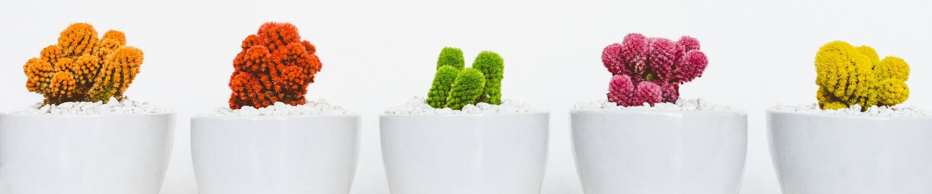 Blumen-Banner für den Fuß der Seite von WILD YOURSELF, deinem Deko Online Shop für skandinavische Wohnaccessoires.