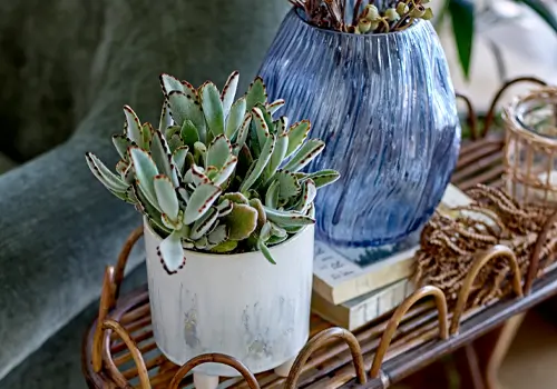 Bloomingville Vase in Blau und weißer Blumentopf mit Sukkulente auf Holztablett – stilvolle Deko im skandinavischen Look